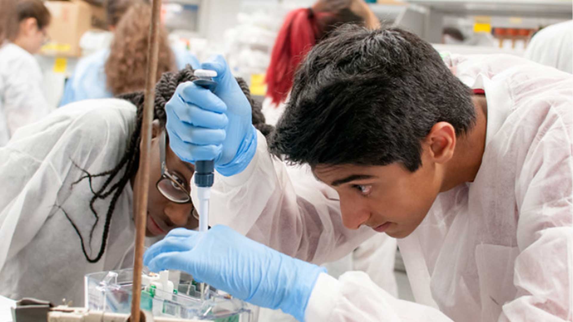 students in a NIH campus laboratory